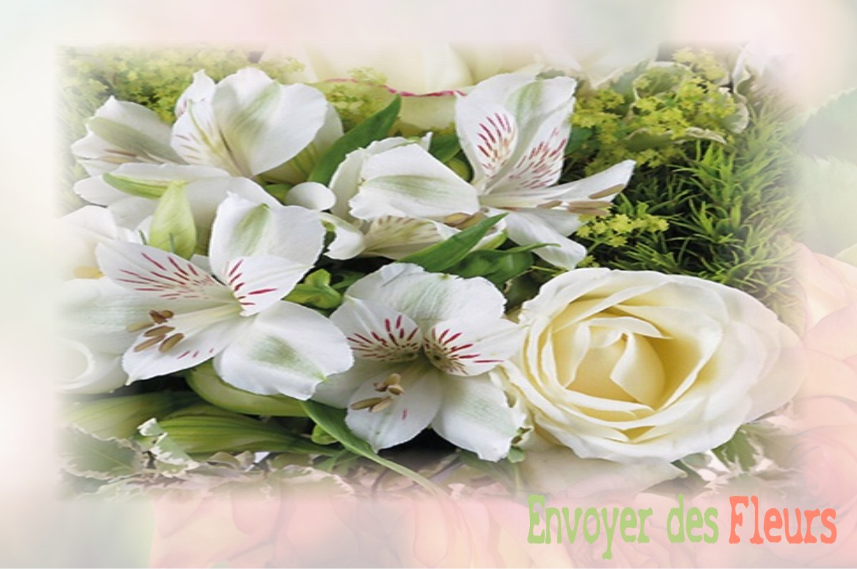 envoyer des fleurs à à VILLENEUVE-LE-ROI