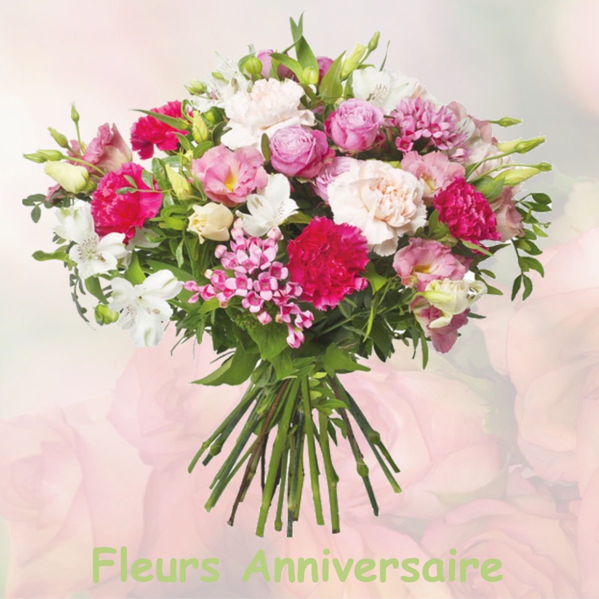 fleurs anniversaire VILLENEUVE-LE-ROI