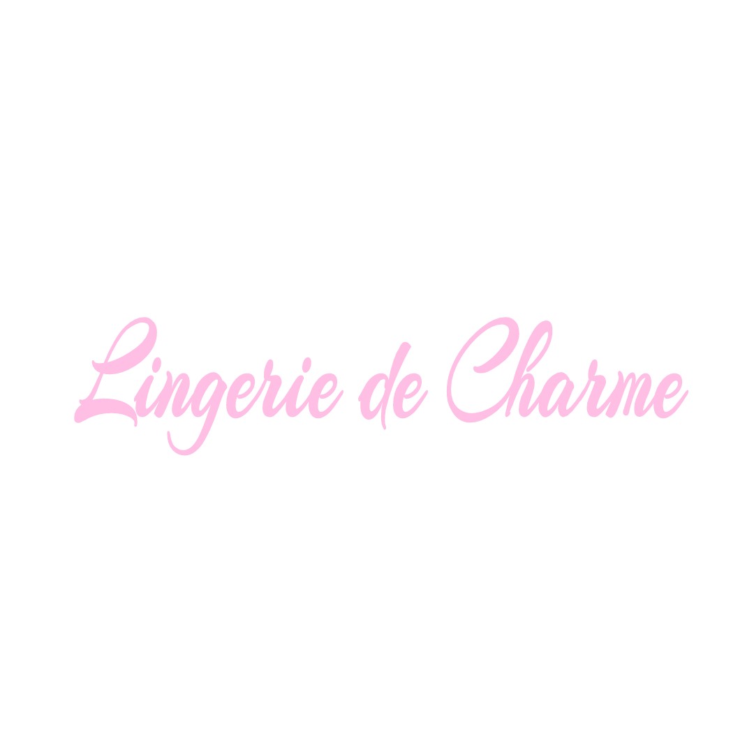 LINGERIE DE CHARME VILLENEUVE-LE-ROI